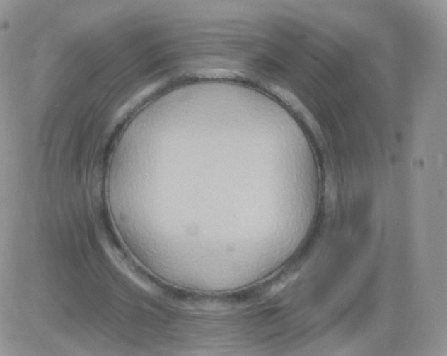 X0000083040533200702231932