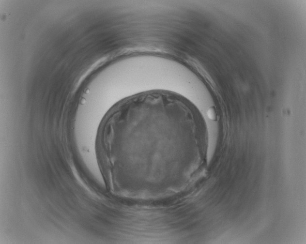 X0000083040534200702231932