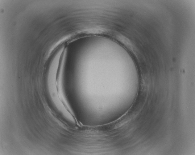 X0000083040535200702231932