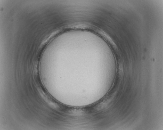 X0000083040537200702231932