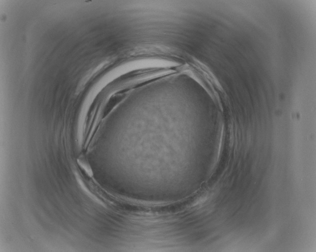 X0000083040538200702231932