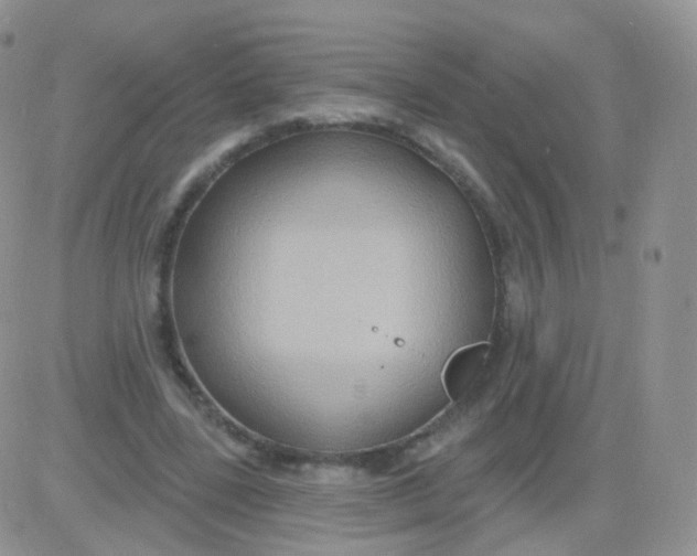 X0000083040539200702231932