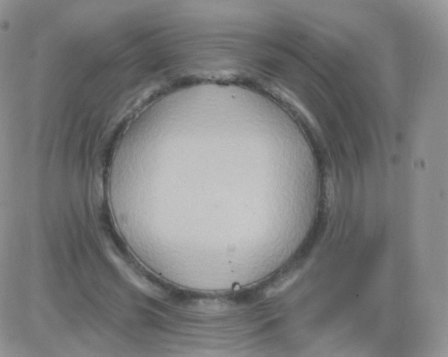 X0000083040541200702231932