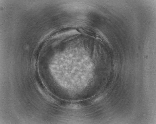 X0000083040542200702231932