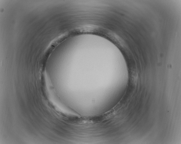 X0000083040543200702231932