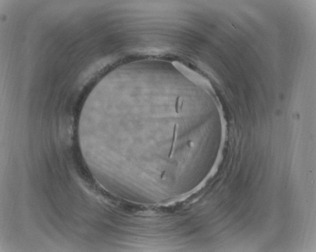 X0000083040544200702231932