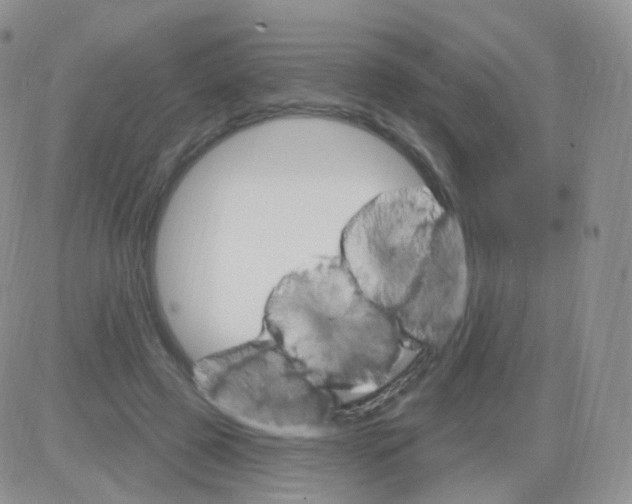 X0000083040545200702231932