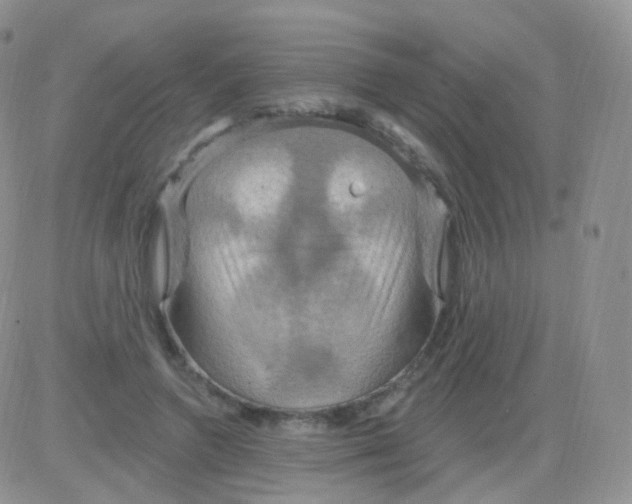 X0000083040546200702231932