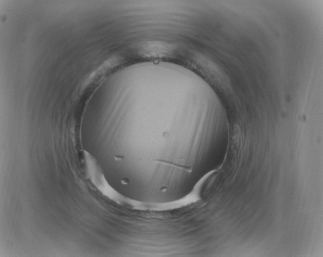 X0000083040547200702231932