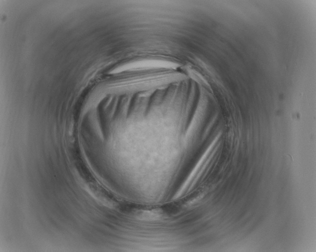 X0000083040548200702231932