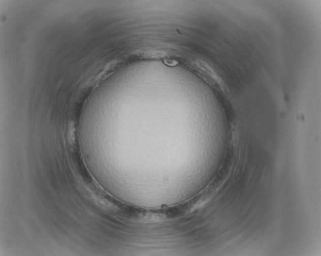 X0000083040549200702231932