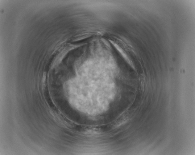 X0000083040550200702231932