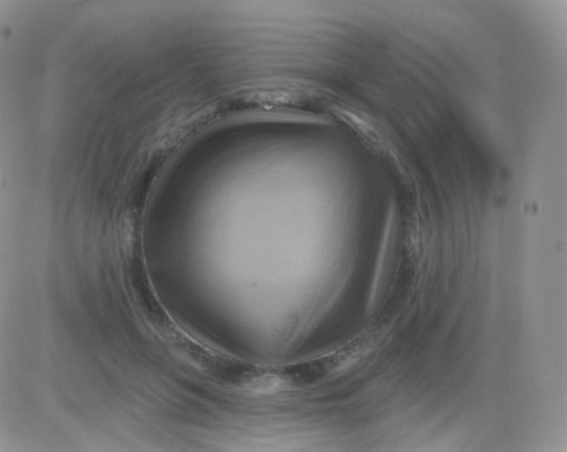 X0000083040551200702231932