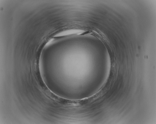 X0000083040552200702231932