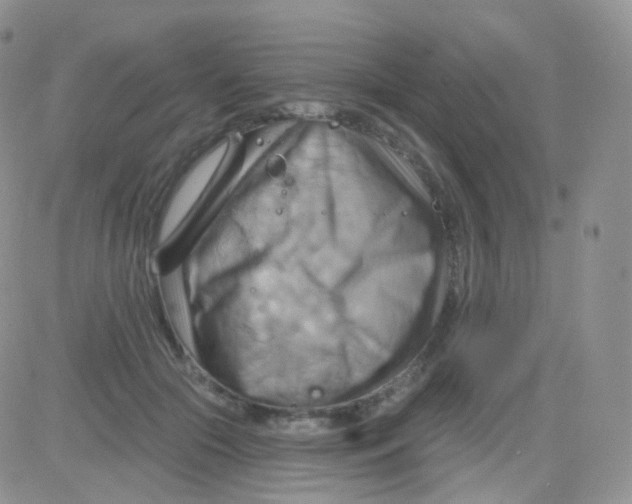 X0000083040553200702231932