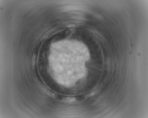 X0000083040554200702231932