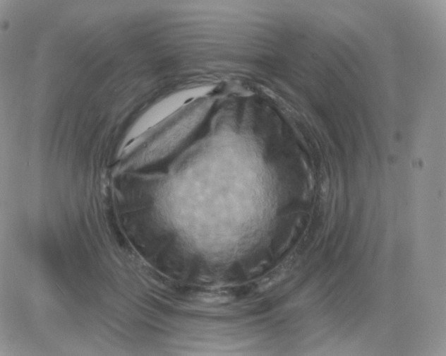 X0000083040555200702231932