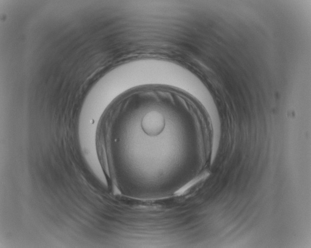 X0000083040556200702231932