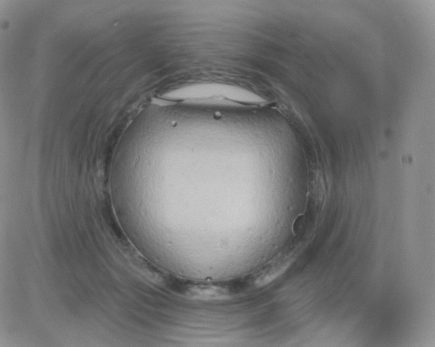 X0000083040557200702231932