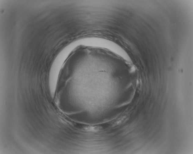 X0000083040558200702231932