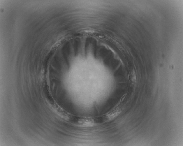 X0000083040559200702231932