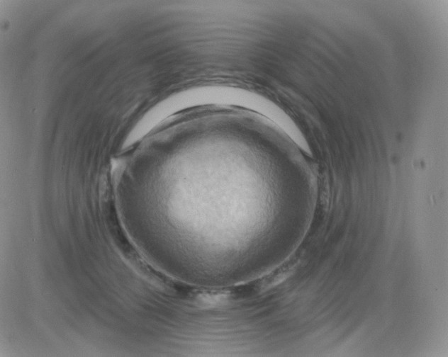 X0000083040560200702231932