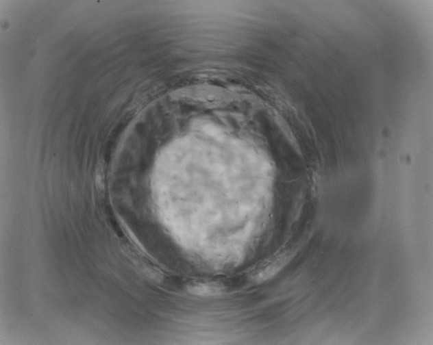 X0000083040561200702231932