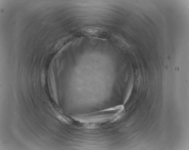 X0000083040562200702231932