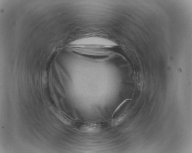 X0000083040563200702231932