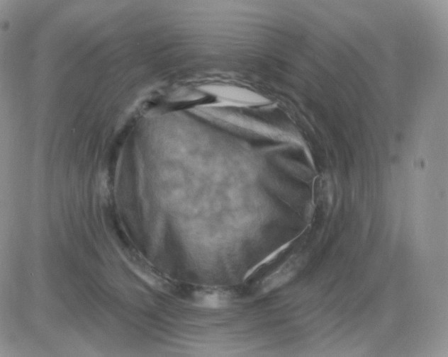 X0000083040564200702231932