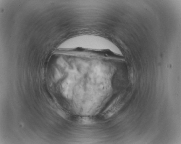 X0000083040565200702231932