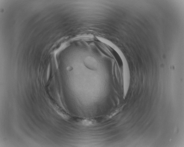 X0000083040566200702231932