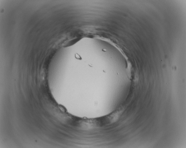 X0000083040567200702231933