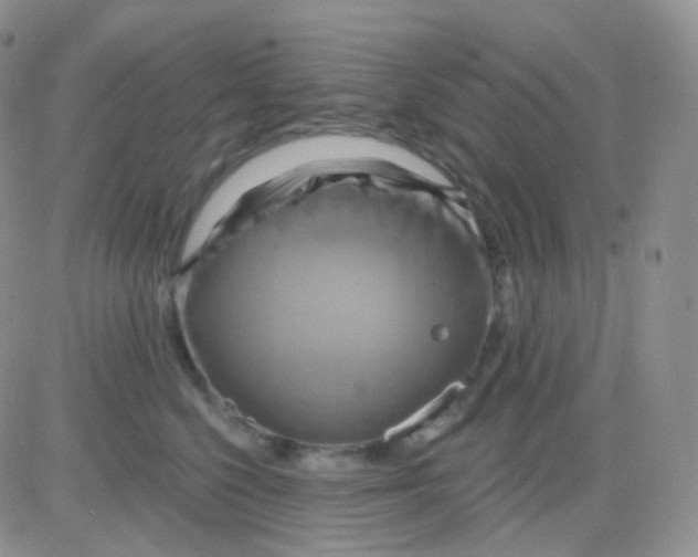 X0000083040568200702231933