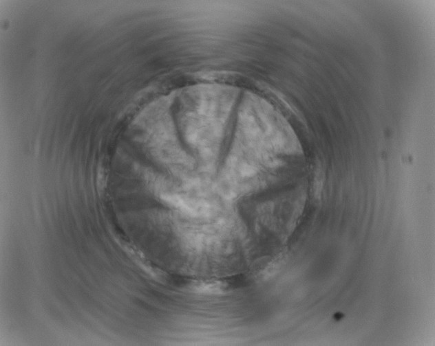 X0000083040569200702231933