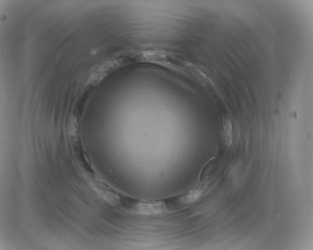 X0000083040571200702231933