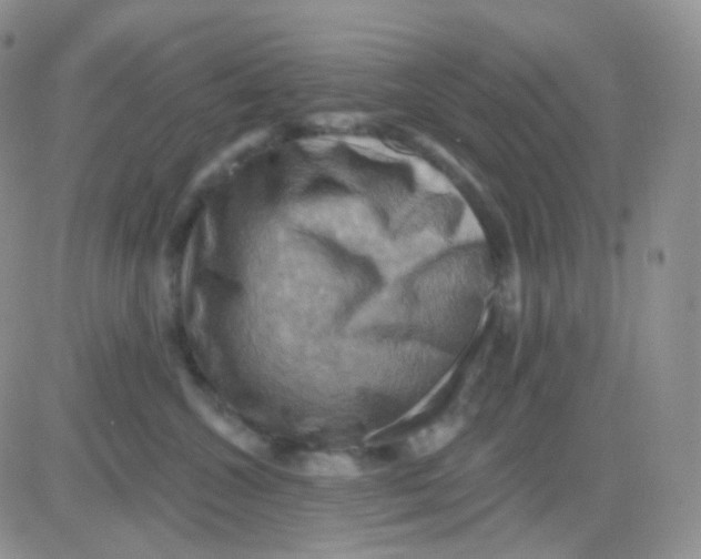 X0000083040572200702231933