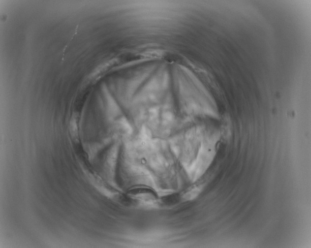 X0000083040573200702231933