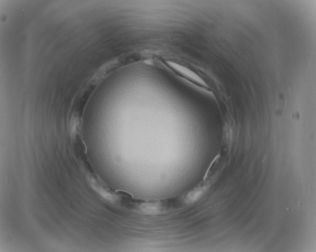 X0000083040574200702231933