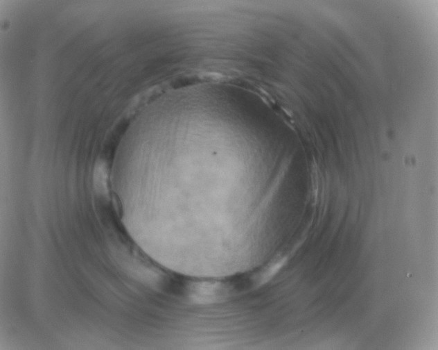 X0000083040575200702231933