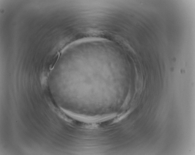 X0000083040576200702231933