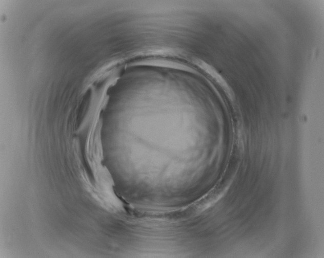 X0000083040577200702231932