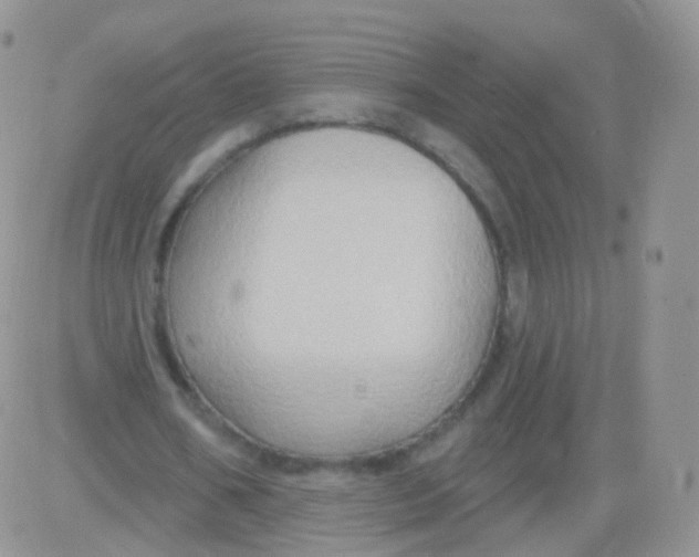 X0000083040578200702231932