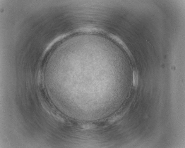 X0000083040579200702231932