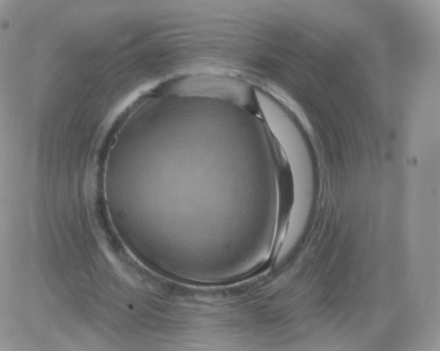 X0000083040580200702231932