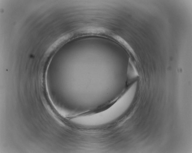 X0000083040581200702231932