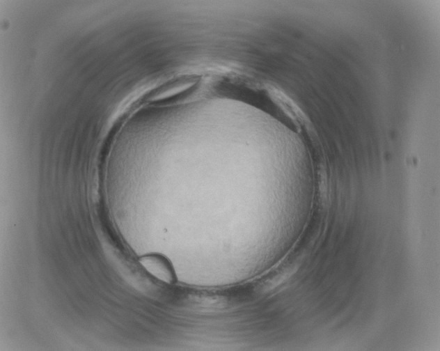 X0000083040582200702231932