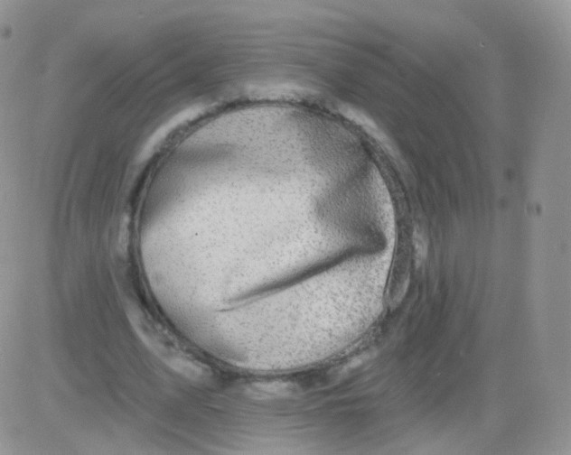 X0000083040583200702231932