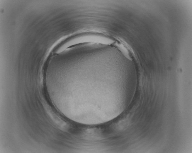 X0000083040584200702231932