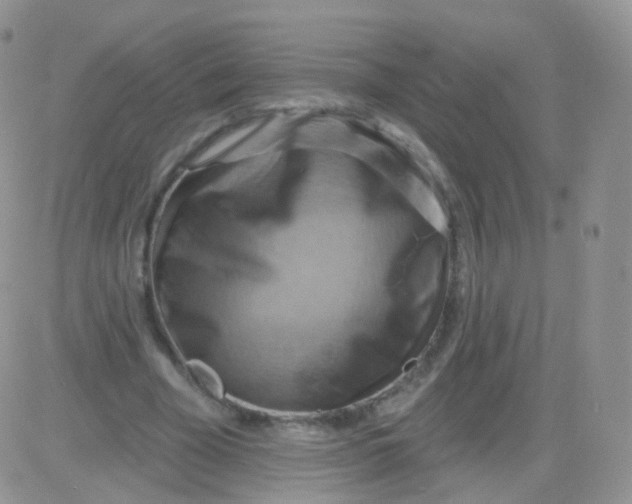 X0000083040585200702231932